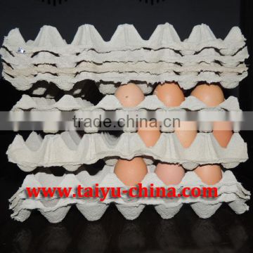 Manufacturer Pulp Paper Egg Packaging Tray
