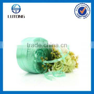 Mint green Speed straw, PP String,pp twine 500g/roll