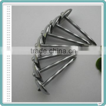 Building Material Dubai and Arabic BWG9 X 2.5" Galvanized Umbrella Roofing Nails