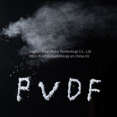 PVDF Micropowder Originally
