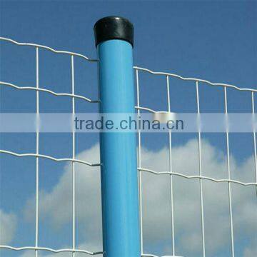 Alibaba supplier Galvanized/PVC Coated Welded Wire Mesh(factory)