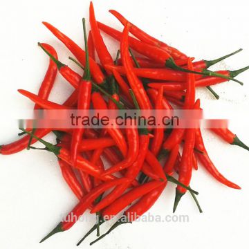 The Lasted Hybrid Hot Chilli Pepper Seeds