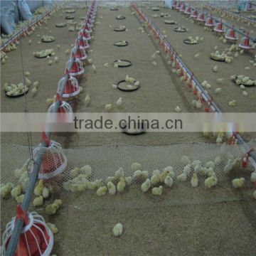 poultry feeders and drinkers for nigeria chickens