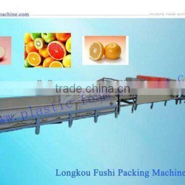 Fruit cleaning and Waxing Machine