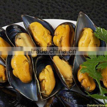 blue mussel with half shell seafood