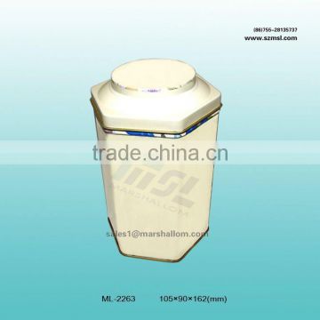 Speical shape tea container