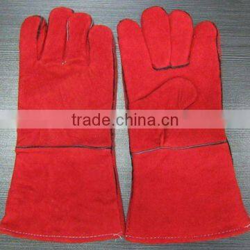 Gardener Men Wearing TIG Security Leather Gloves