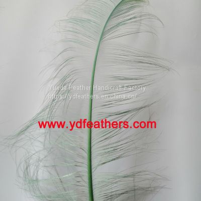 Burnt Ostrich Plume Feather Dyed Green from China