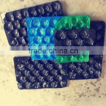 Fruit shape disposable Plastic Container Sale well