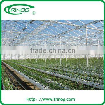 Venlo glass greenhouse structure