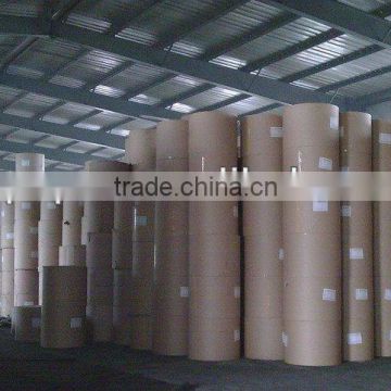 High Quality & Coated Offset Paper CIE145 - - In Rolls