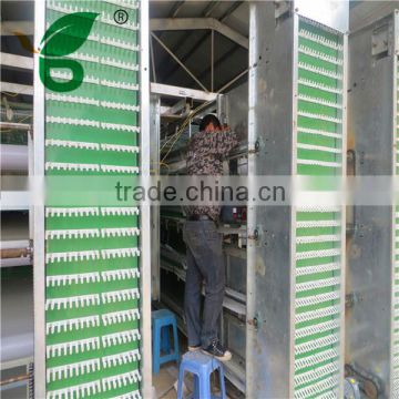 automatic layer egg collection system