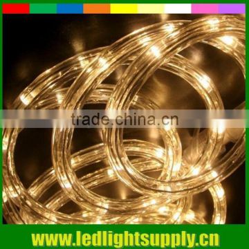 warm white christmas decoration lights cheap led rope 110v 220v