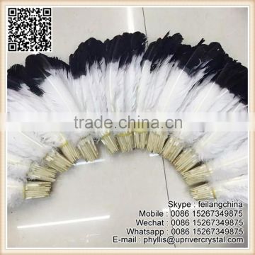 White Wite Black Tip 25-30cm Large Turkey Feather For Sale