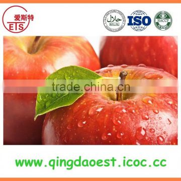 2016 YanTai fresh fruits hot sale red gala apple