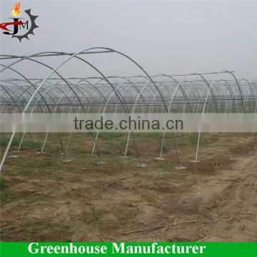 Small single tunnel Galvanized pipe greenhouse for agriculture use