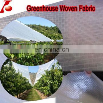 Poly Clear Mesh Tarp for Greenhouse Cover