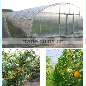 Agricultural tomato polytunnel zhengzhou greenhouse for sale