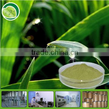 High quality wheat grass extract