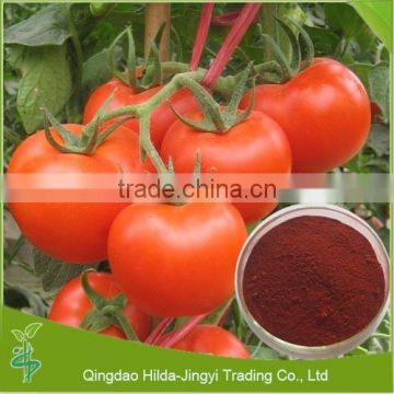 Pure tomato extract lycopene 90%, lycopene powder