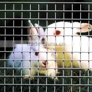 cheap galvanized welded rabbit cage wire mesh