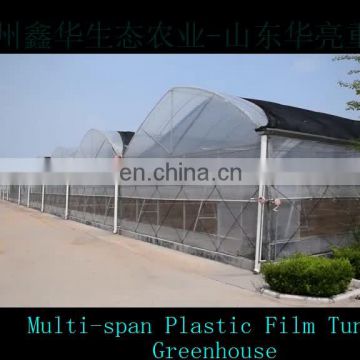 Hot Sale Low Cost Professional Agricultural Reinforced Commercial Plastic Film Greenhouse