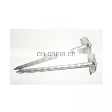 5kg 1kg zinc plated HDG roofing nail