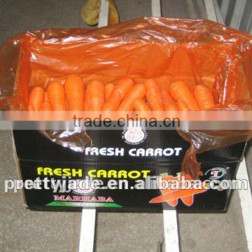 quality carrot