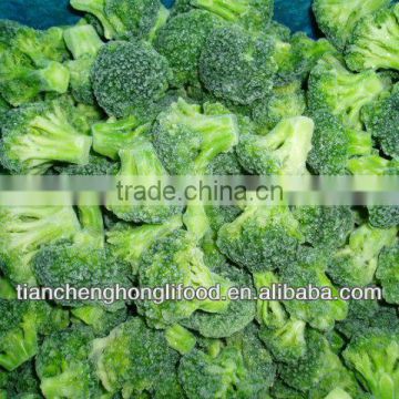 Supply new crop and fresh frozen broccoli
