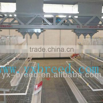 poultry feeding machine systerm for chicken