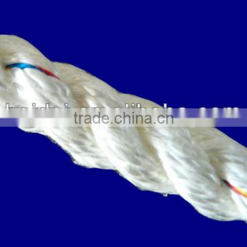 3 strand Danline Rope pp material fast delivery