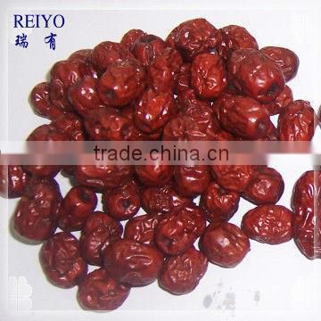 chinese dried red dates for sale