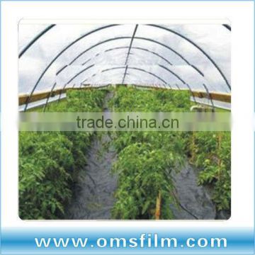 200 micron clear greenhouse plastic sheet
