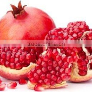 Fresh fruit export for usa