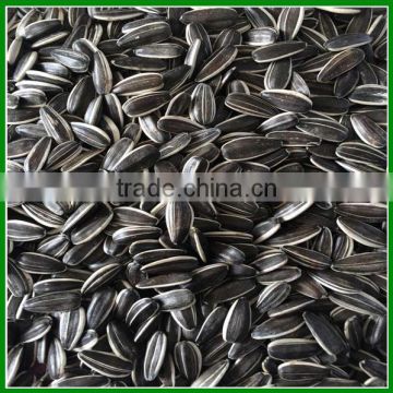 High Quality 5009 Raw Sunflower Seeds Count 250 pieces Per 50 Gram for Sale