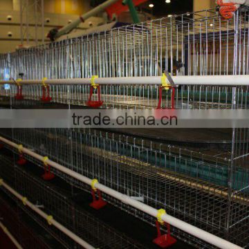 Selling Poultry cages :layer chicken cage ,quail cage ,pigeon cage ,broiler chicken cage for sale