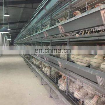 Hot Sale Pullet Chicken Cage/Battery Cages Laying Hens/Cages For Chicken Used(A Type & H Type Layer Chicken Cage)