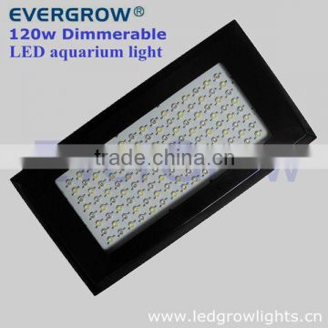 120w dimmable mini aquarium light