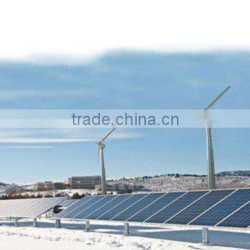 1KW Solar Panel and Wind Turbine Combine power System