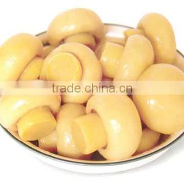 Canned Mushroom Whole in good quality new production