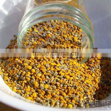 100% china mixed buckwheat beepollen