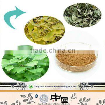 Ebay China with lowest price pure natural ginkgo extract CAS NO.90045-36-6