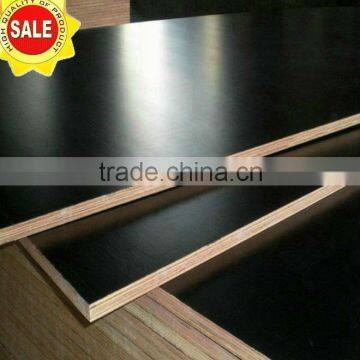 black film faced plywood in good price