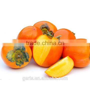 China Fresh Persimmons fruit