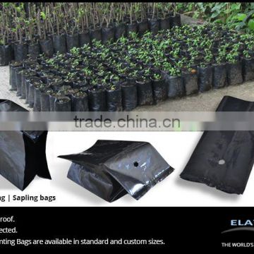 Planting poly bags