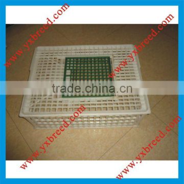 China factory very good price poultry plastic cage