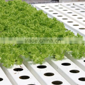 PVC Hydroponic pipe system accessories
