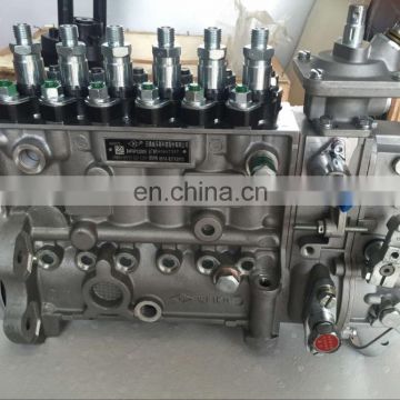 BJAP Injection Pump BHF6P120005