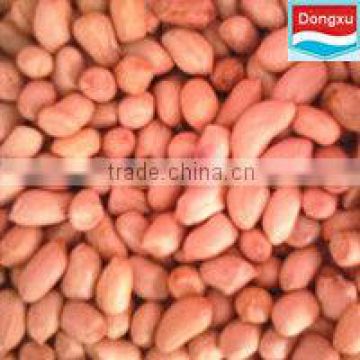 peanut kernels baisha 50/60