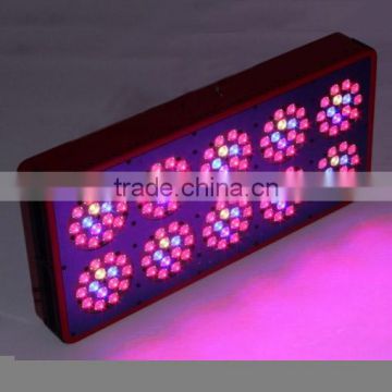 high output apollo20 led grow lights for hydroponics growing 3:1 led grow light with 12pcs leds